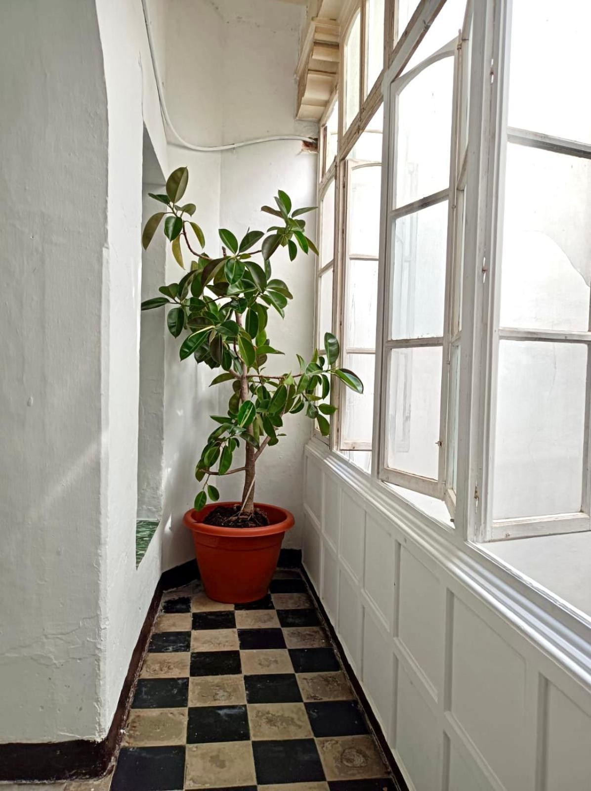 Precioso Apartamento: La Luz De Cadiz Cádis Exterior foto
